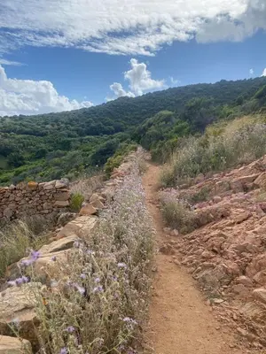 a dirt road with flowers on the side of a hill at Piana - vue mer et village in Piana