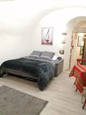 a bedroom with a large bed in a room at Studio neuf à 15mn de la mer in Occhiatana