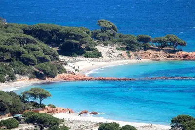 a view of a beach with blue water and trees at Studio à 5 minutes à pied du centre ville de Porto Vecchio in Porto-Vecchio
