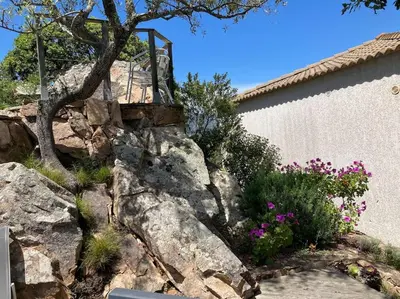 a rock retaining wall with a tree and flowers at Maison avec jardin et parking privé à 300m du centre ville de porto -vecchio in Porto-Vecchio