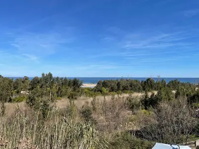 a view of a beach with trees and the ocean at Vista Mare- proche plage et commerces - 8 pers in Sari Solenzara