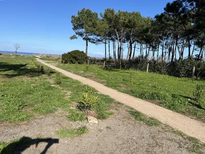 a dirt road in the middle of a field with trees at BORGO Duplex 4 pers proche mer in Borgo