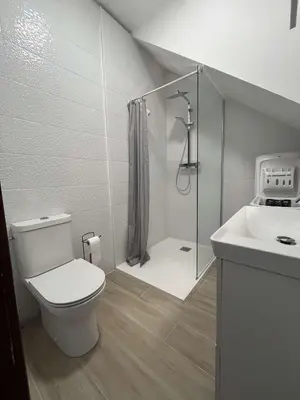 a bathroom with a toilet and a shower and a sink at BORGO Duplex 4 pers proche mer in Borgo