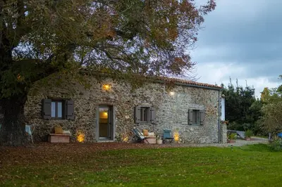 a stone house with a tree in front of it at Demeure de charme Suarella Domaine de Marquiliani in Aghione