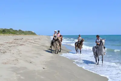 a group of people riding horses on the beach at Demeure de charme Suarella Domaine de Marquiliani in Aghione