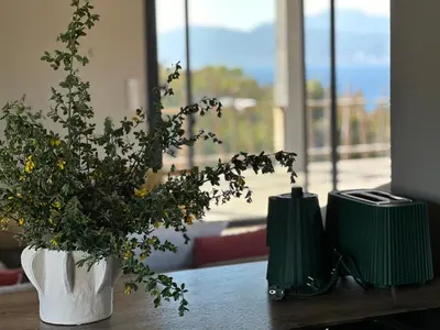a white vase with a plant on a table at Villa Casa di Simone Pietrosella Corse du Sud in Pietrosella