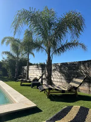 a park with benches and a palm tree next to a pool at Villa Casa di Simone Pietrosella Corse du Sud in Pietrosella