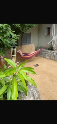 a yard with a hammock in a yard at Maison familiale charmante in Borgo