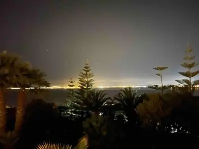 a view of the ocean at night with palm trees at VILLA VUE MER in Pietrosella