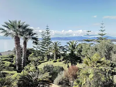 a garden with palm trees and a body of water at VILLA VUE MER in Pietrosella