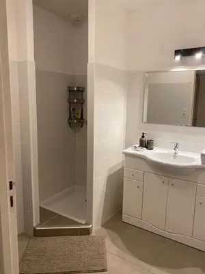 a bathroom with a sink and a shower at Porto vecchio Résidence Don Andria T2 in Lecci