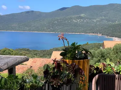 a view of a beach from a balcony with plants at La bergerie de Cupabia in Serra-di-Ferro