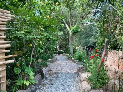 a stone path in a garden with trees and plants at Locations de La Casette d'Araggio in Porto-Vecchio