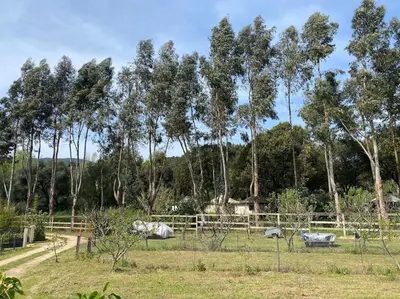 a field with a fence and trees in the background at Gîte Cazoletta in Casalabriva