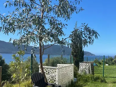 a white bench sitting next to a tree and water at Rez de villa golfe de lava in Appietto
