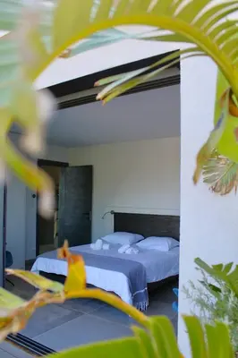 a hotel room with two beds and a plant at Villa A Pinetta Villata in Sainte-Lucie de Porto-Vecchio
