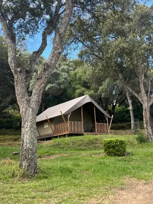 a tent in a field with trees in the background at lodge lavallee in Belvédère