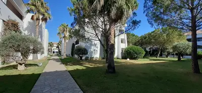 a yard with palm trees and a building at Appartement T3 les pieds dans l'eau in Moriani Plage