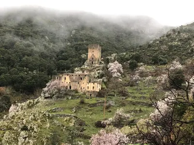 an old castle on top of a hill with trees at La Corse authentique et rurale in Castifao