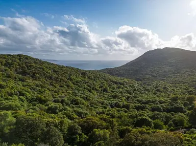 an aerial view of a green hill with the ocean at Maison vue Mer et Maquis in Olmeto
