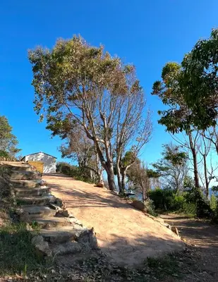 a dirt road with trees on the side of a hill at Appartement 2 personnes bord de mer in Sagone