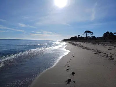a beach with footprints in the sand and a tree at les pivoines in Borgo