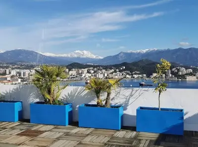a group of palm trees in blue planters on a roof at Penthouse panoramique avec Jacuzzi in Ajaccio