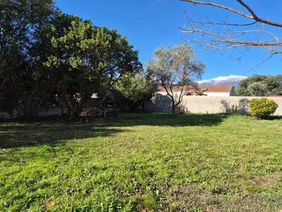 a yard with trees and a wall at Bas de villa, Haute-Corse, vue montagne, 5min des plages in Prunelli-di-Fiumorbo