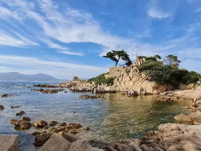 a rocky island with a tree on it in the water at Azura Prugna - Maison avec piscine partagée in Grosseto-Prugna