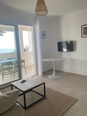 a living room with a couch and a table at T2 VUE MER CORSE N193 in Linguizzetta