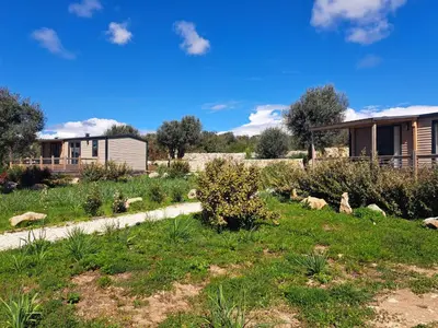 a garden in front of a house at Chalet n * 1 au cœur du maquis in Bonifacio