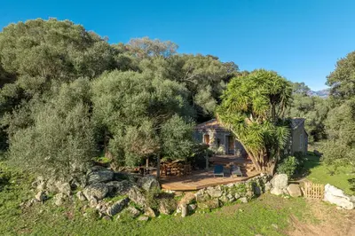 an exterior view of a house surrounded by trees at I Carbonni - Bergerie 80m2 entre mer et montagne in Sotta