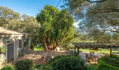 a house with a wooden deck and a tree at I Carbonni - Bergerie 80m2 entre mer et montagne in Sotta