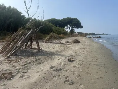 a beach with a pile of drift wood on it at Appartement n 302 moriani plage in Moriani Plage