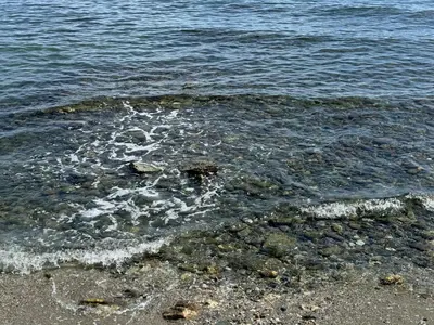 a body of water with rocks and the ocean at Appartement n 302 moriani plage in Moriani Plage