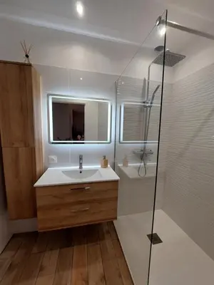 a bathroom with a sink and a shower at Palmeraie102 in Sari Solenzara