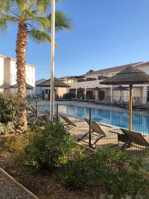 a pool with chairs and umbrellas and a palm tree at Appart. en Corse t3 bord de mer et piscine. N 143 in Linguizzetta