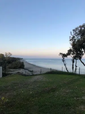 a view of a beach with a tree and the ocean at Appart. en Corse t3 bord de mer et piscine. N 143 in Linguizzetta