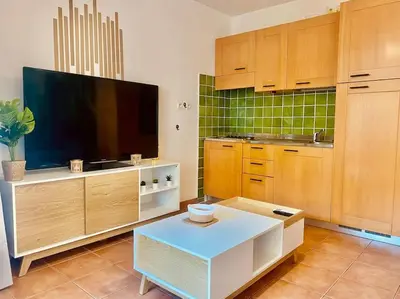 a kitchen with a tv and a table in a room at Appartement en bord de mer avec piscine in San-Nicolao