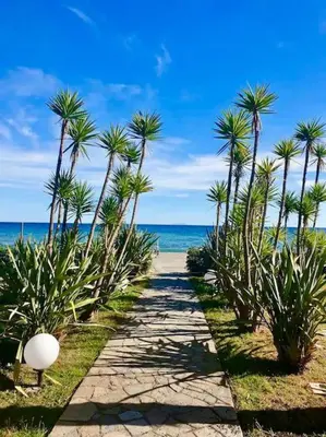a pathway with palm trees on the beach at Appartement en bord de mer avec piscine in San-Nicolao