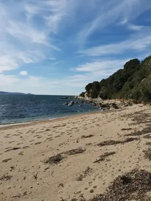 a sandy beach with rocks in the water at Appartement à 2 pas de la plage in Olmeto