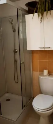 a bathroom with a shower and a toilet at Villa les pieds dans l'eau in Borgo