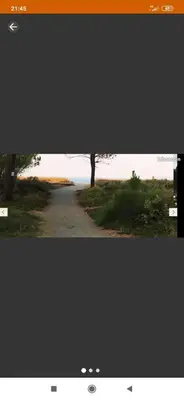 a television screen with a picture of a tree at Villa les pieds dans l'eau in Borgo
