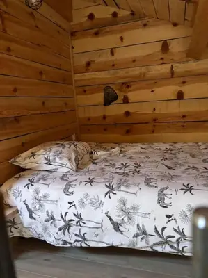a bed in a room with a wooden wall at chez lulu Appartement cosy. in Cozzano
