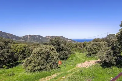 a dirt road in a field with trees and a suspension bridge at San Quilico - Maison climatisée piscine vue mer in Aregno