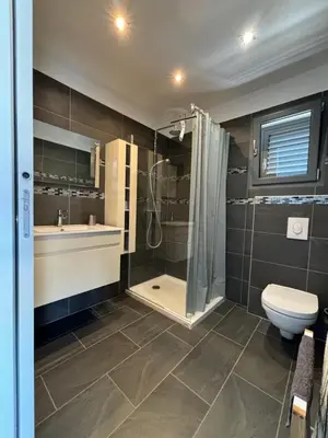 a bathroom with a shower and a toilet and a sink at Studio, piscine, 10 min des plages, Ajaccio, corse du sud, in Appietto