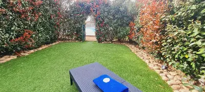 an overhead view of a garden with a blue treadmill at Mini villa Bay, 6 pers, piscine, 400 m plage in Lecci
