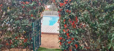 a fence covered in red flowers next to a pool at Mini villa Bay, 6 pers, piscine, 400 m plage in Lecci
