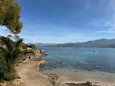 a beach with a palm tree and a body of water at TERRA BELLA 2 in Grosseto-Prugna