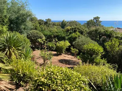 a garden with bushes and trees and the ocean at VILLA LES GORGONES - Corse du Sud - Vue mer - 200m plage in Zonza